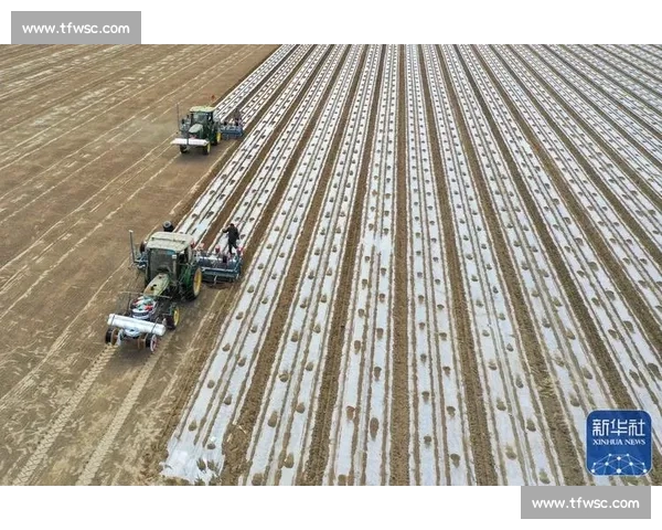 凯斯格兰强强联合 示范智慧播种新标杆 凯斯格兰强强联合 示范智慧播种新标杆