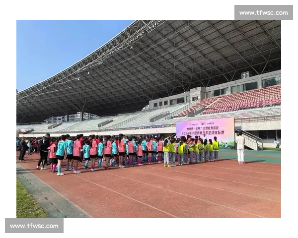 友谊第一，比赛第十四：体育精神的永恒之光