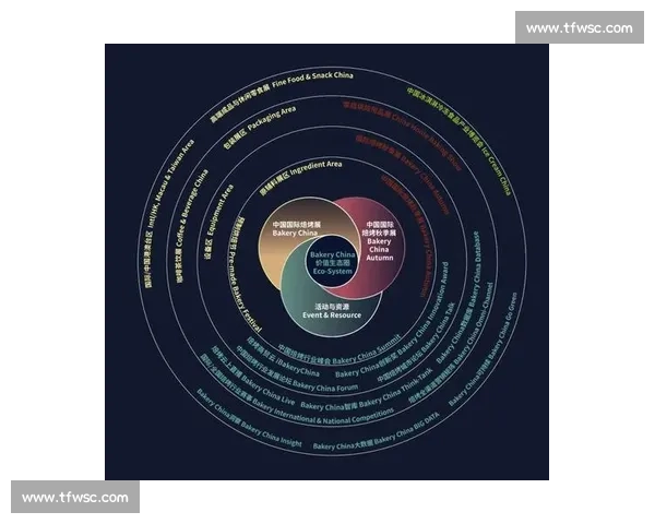 深度探索DeepSeek技术创新与未来发展潜力分析
