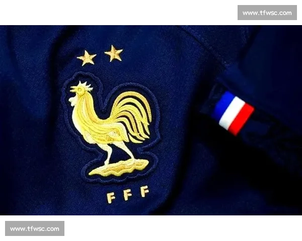 法国高卢雄鸡蓄势待发，2026世界杯卫冕冠军的挑战！